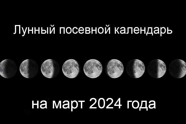 Лунный посевной календарь садовода на март 2024 года